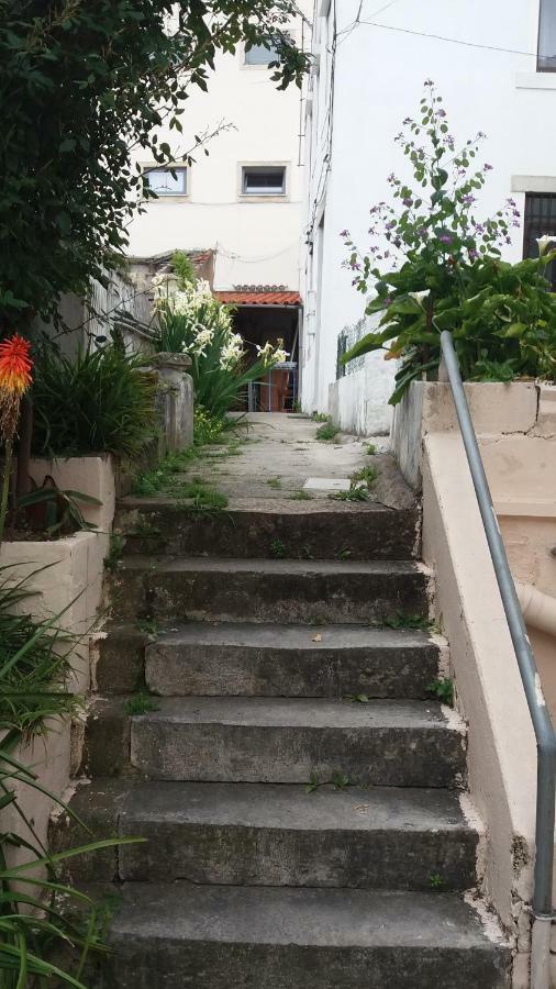 Appartamento Farol De Vida 2 *